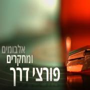 כמו אבן מתגלגלת